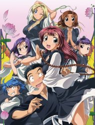 gogoanime